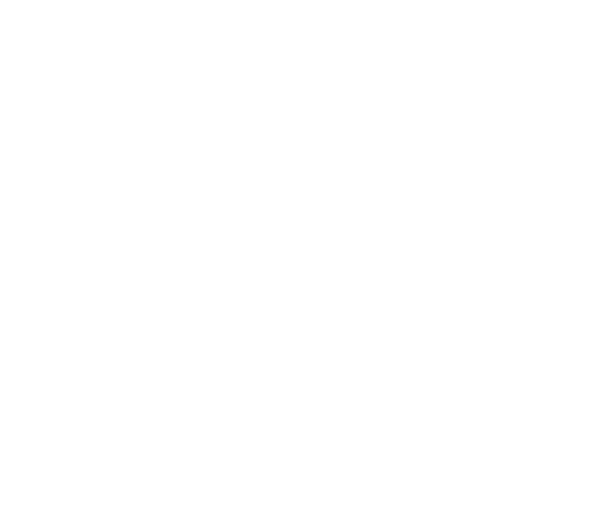 The First Slam Dunk