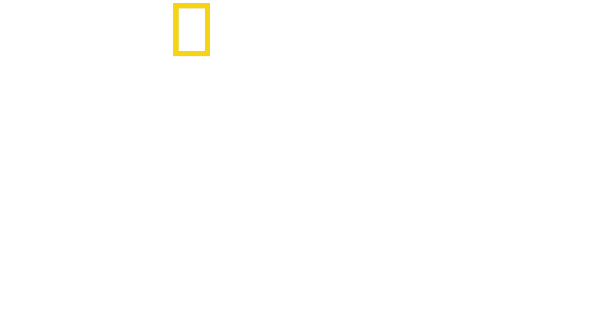 Les cités perdues d'Albert Lin
