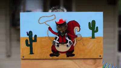 thumbnail - S1:E4 Squirrels, Am I Right?