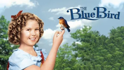 The Blue Bird
