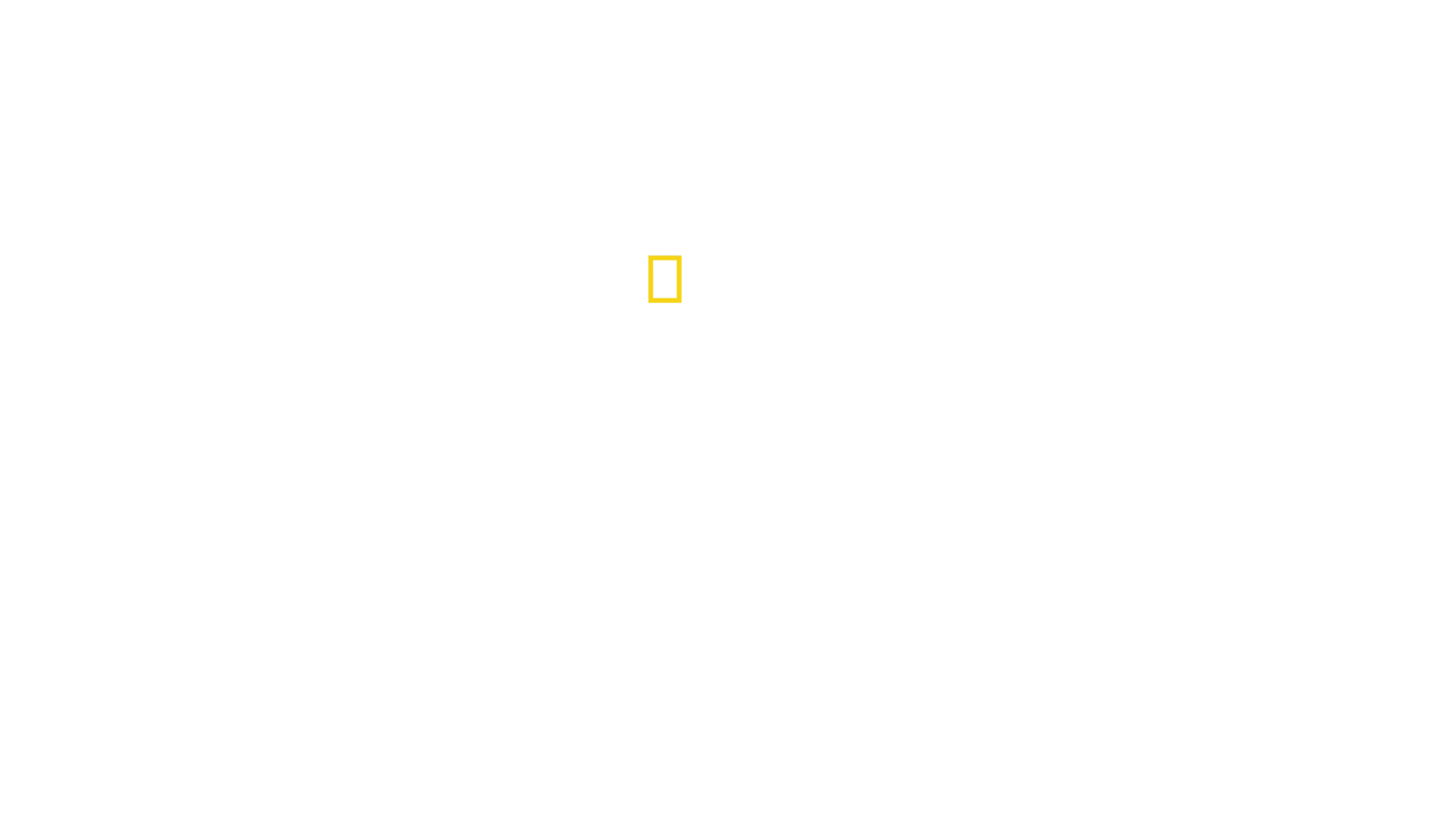Arctic Ascent with Alex Honnold