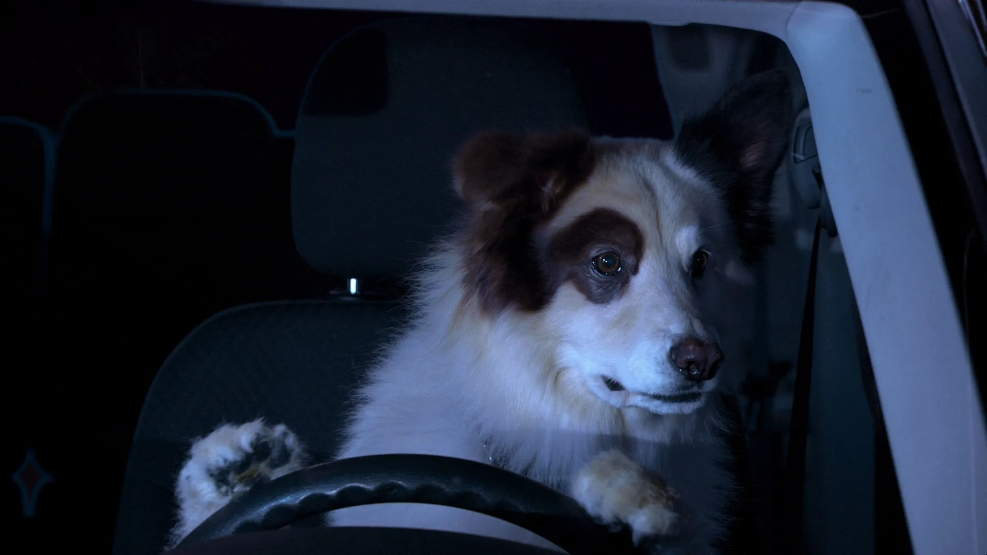thumbnail - S1:E2 The Fast and the Furriest