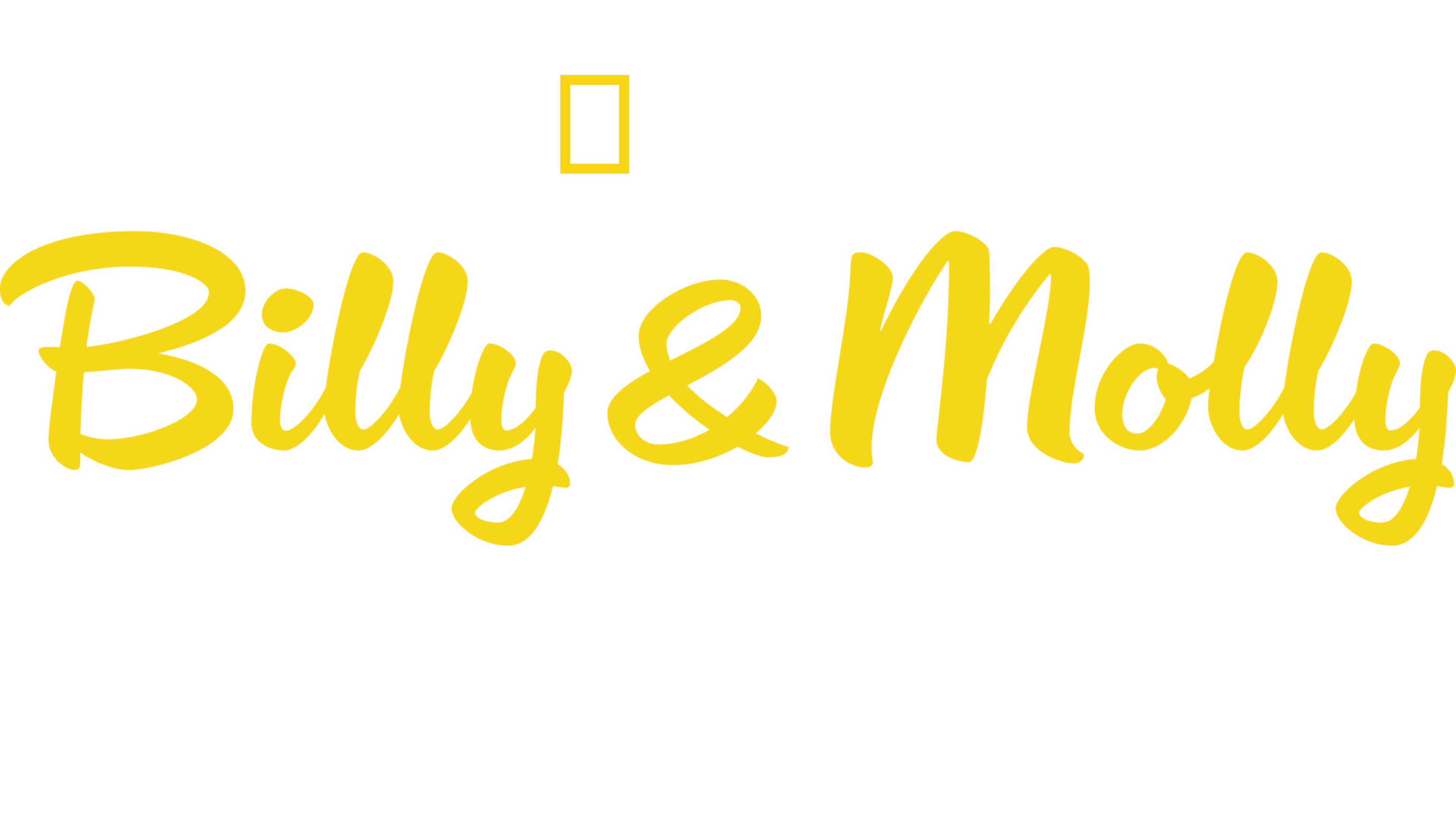 Billy & Molly: Eine Liebe zwischen Mensch und Otter