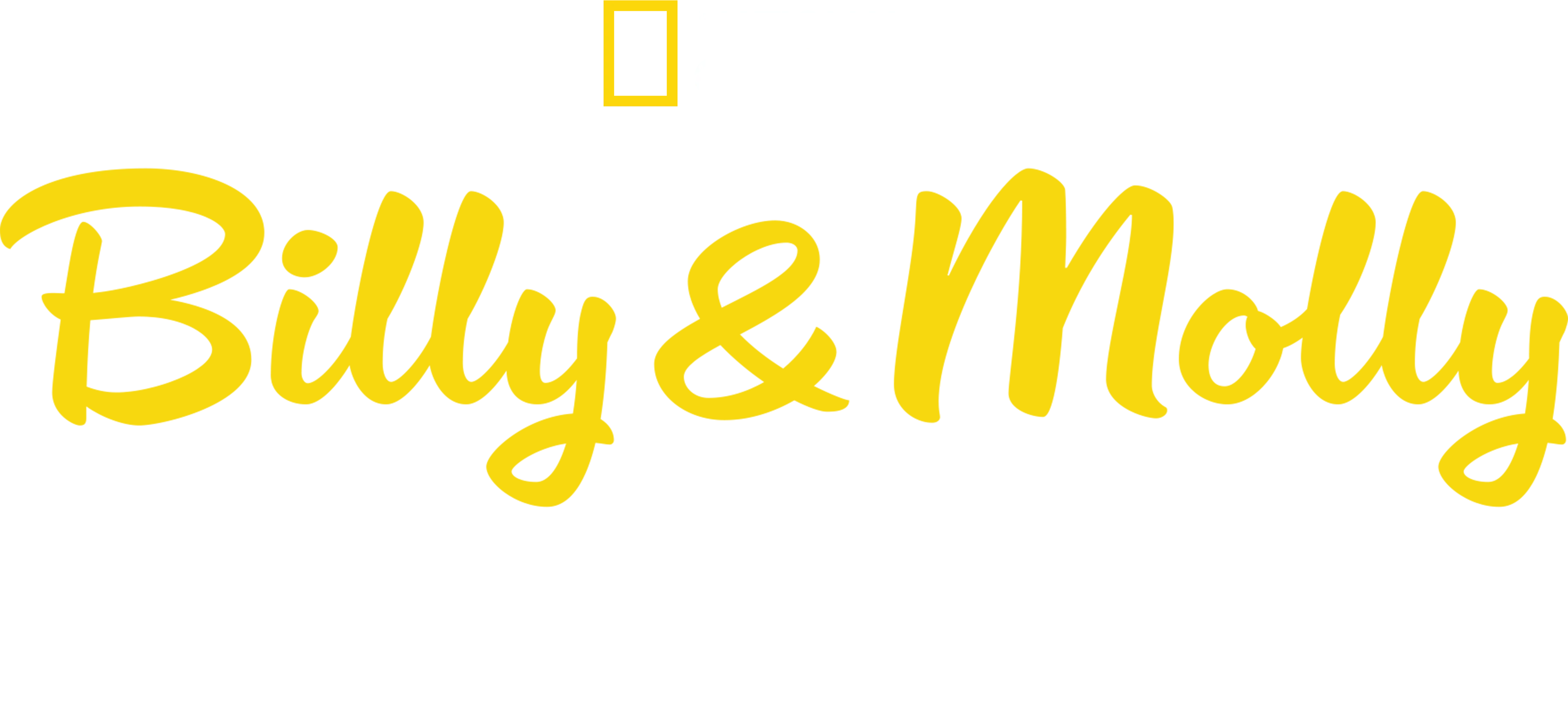 Billy & Molly: Eine Liebe zwischen Mensch und Otter