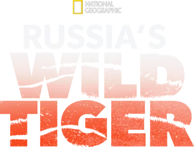 Russia's Wild Tiger