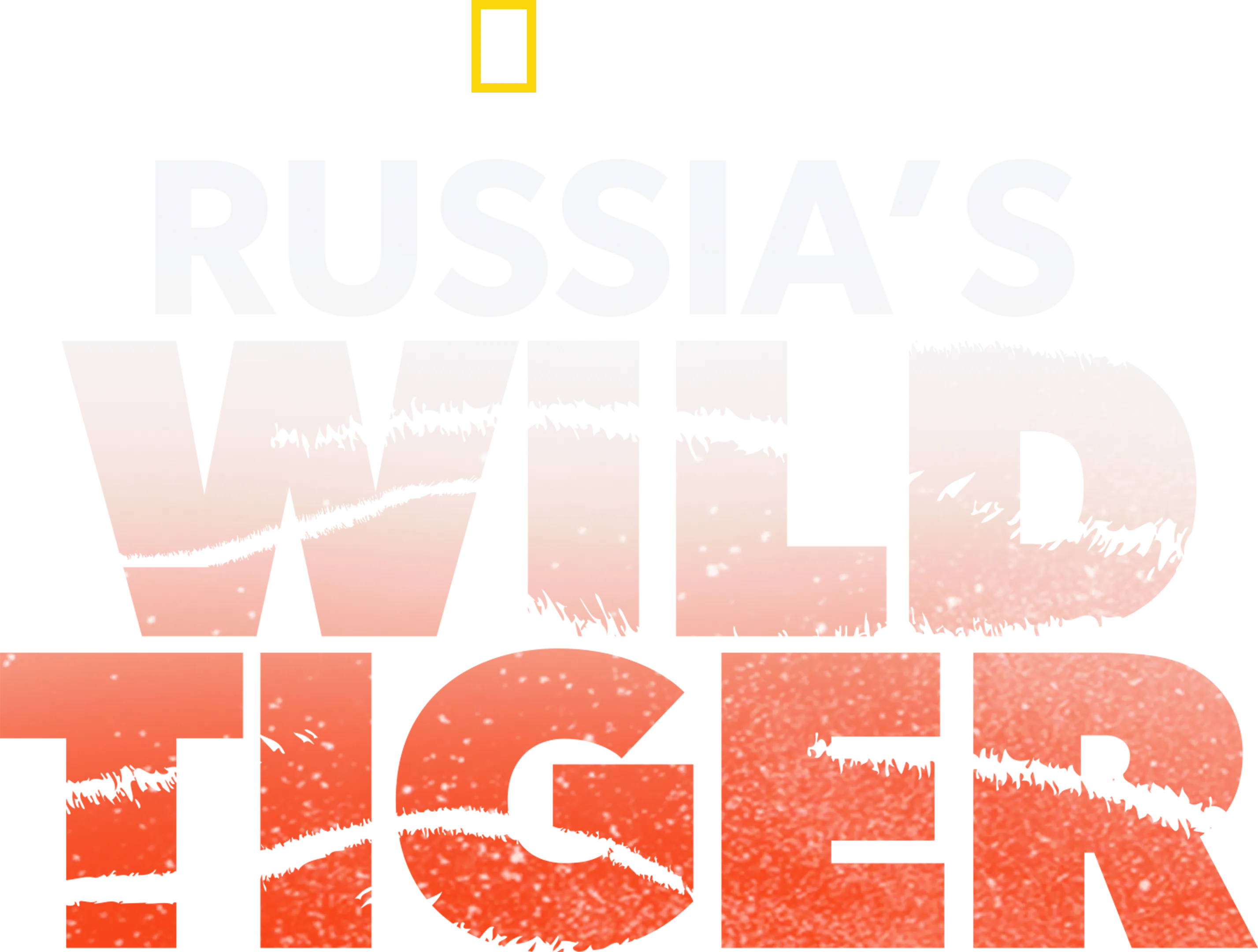 Russia's Wild Tiger