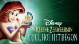 thumbnail - De Kleine Zeemeermin: Ariel, hoe het begon