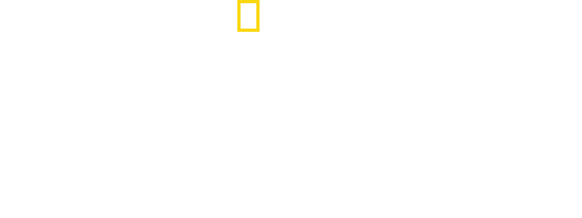 Shark Attack: The Paige Winter Story