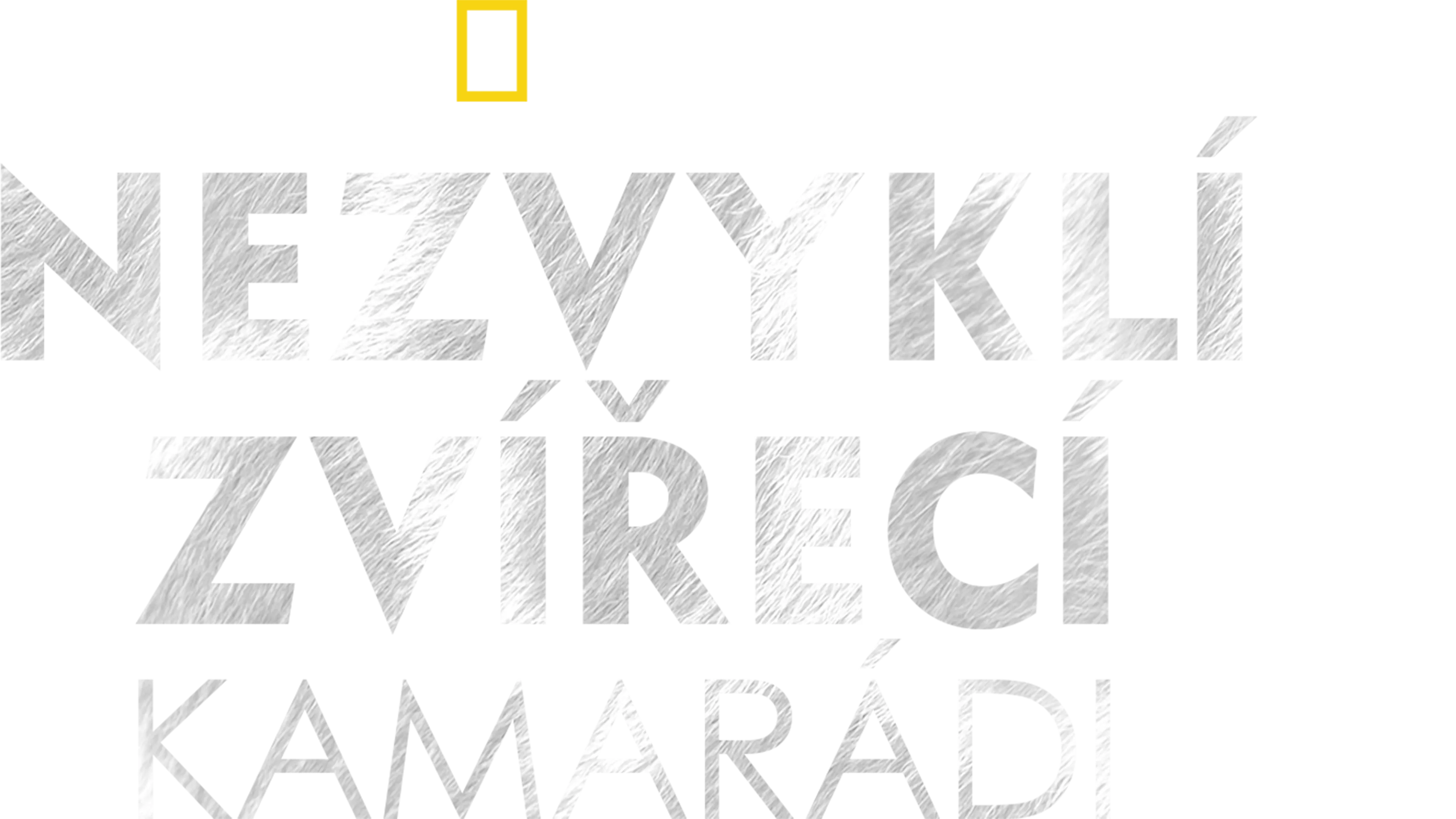 Nezvyklí zvířecí kamarádi