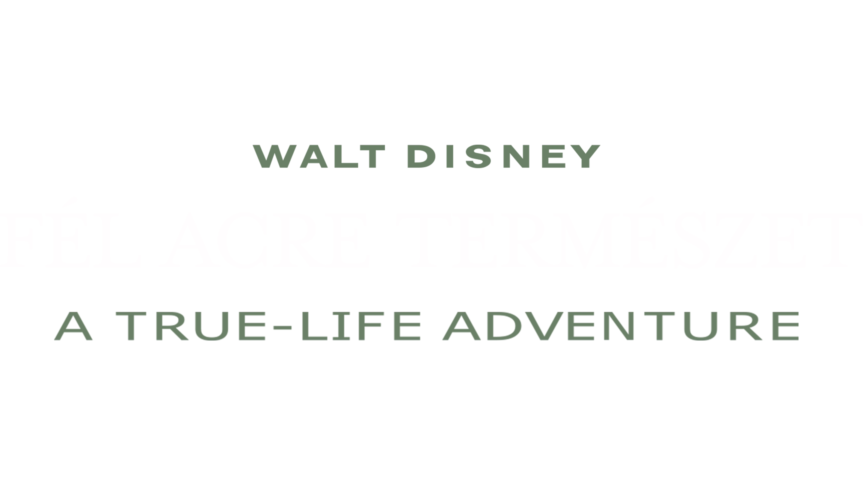 Fél acre természet
