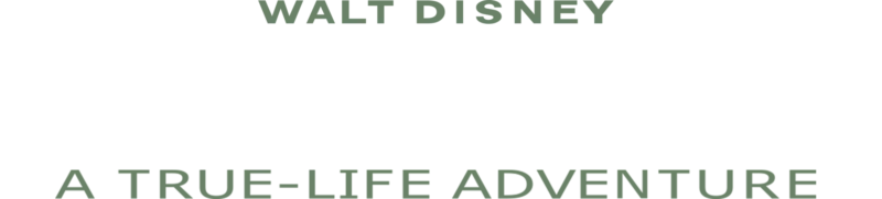 Fél acre természet