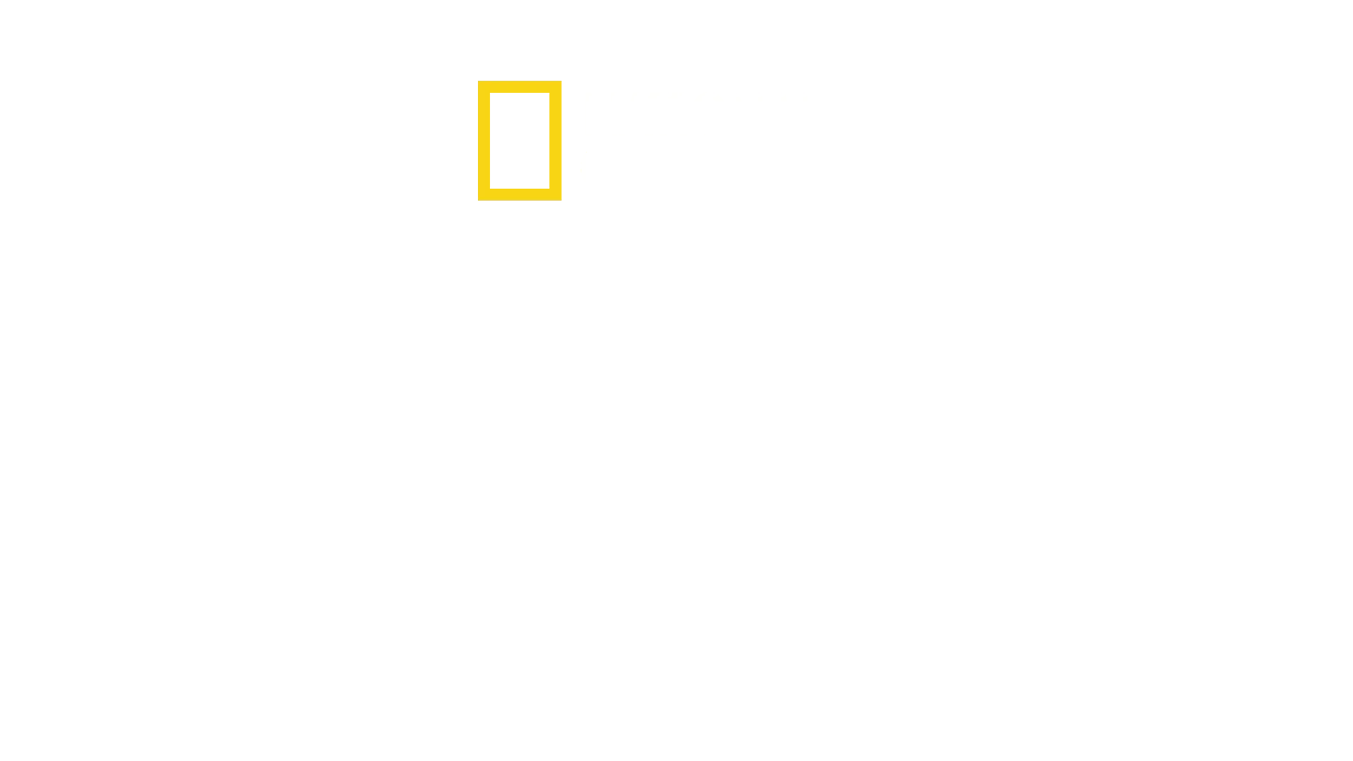 Brujas: más allá de la leyenda