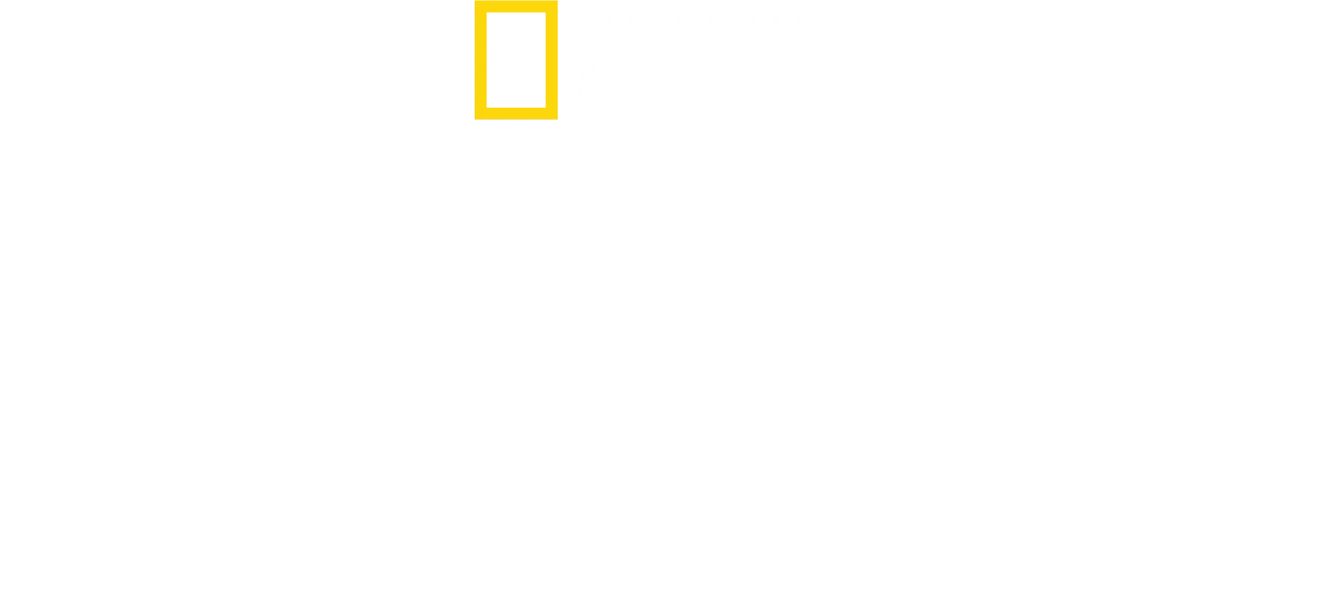 Brujas: más allá de la leyenda