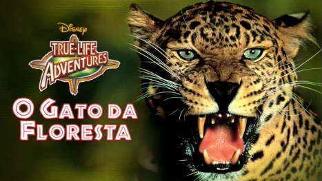 thumbnail - O Gato da Floresta