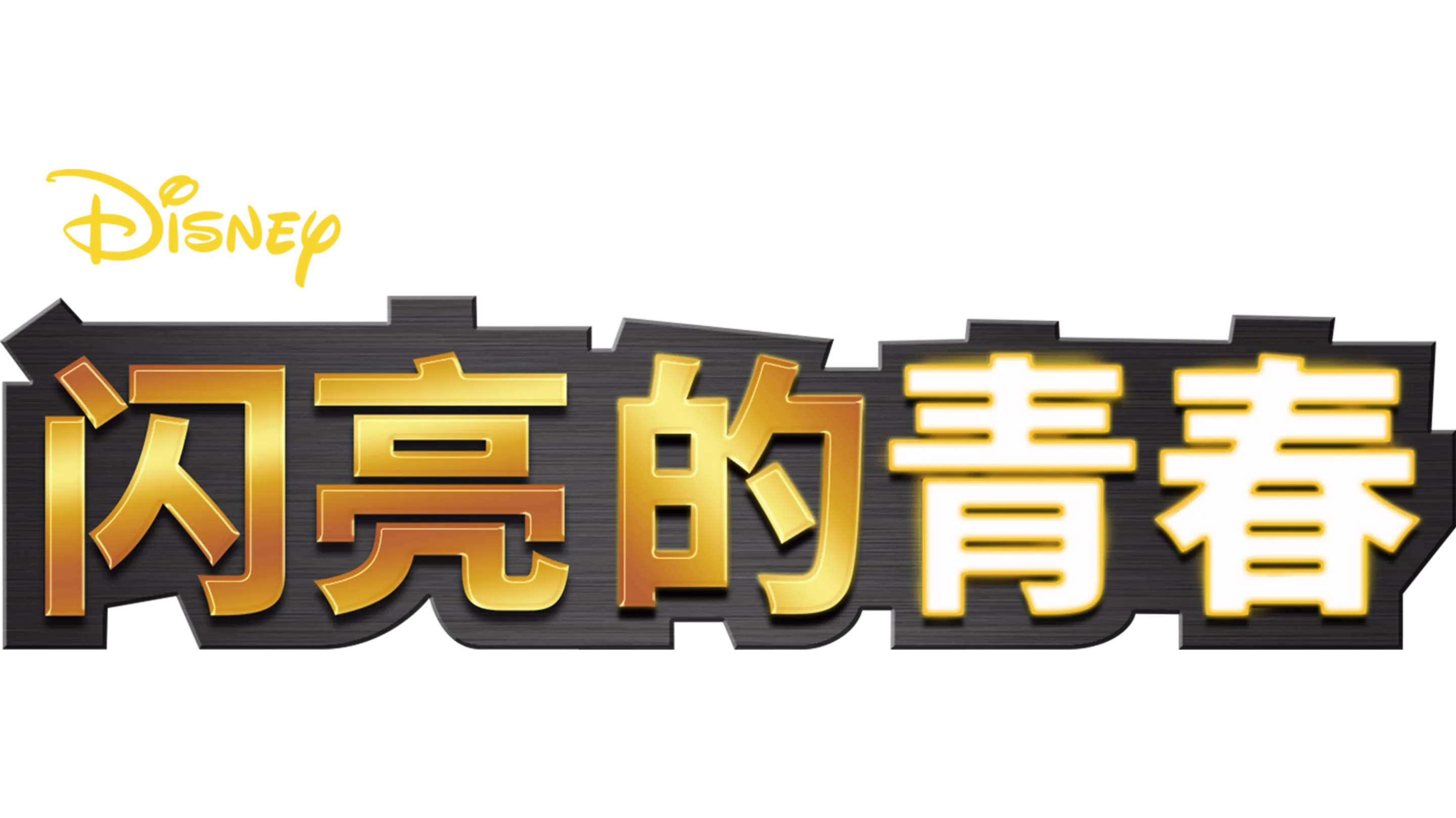 闪亮的青春