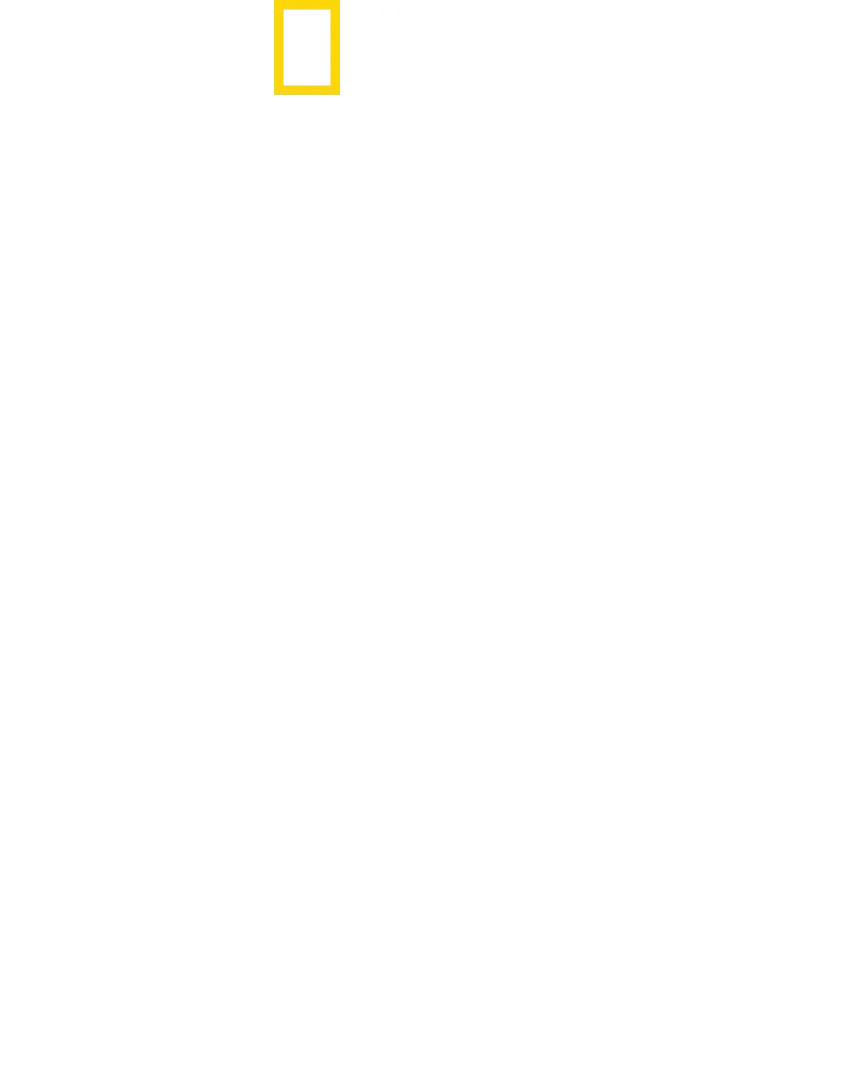 Die neue Air Force One - Eine fliegende Festung