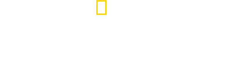 Tajomstvá chobotnice