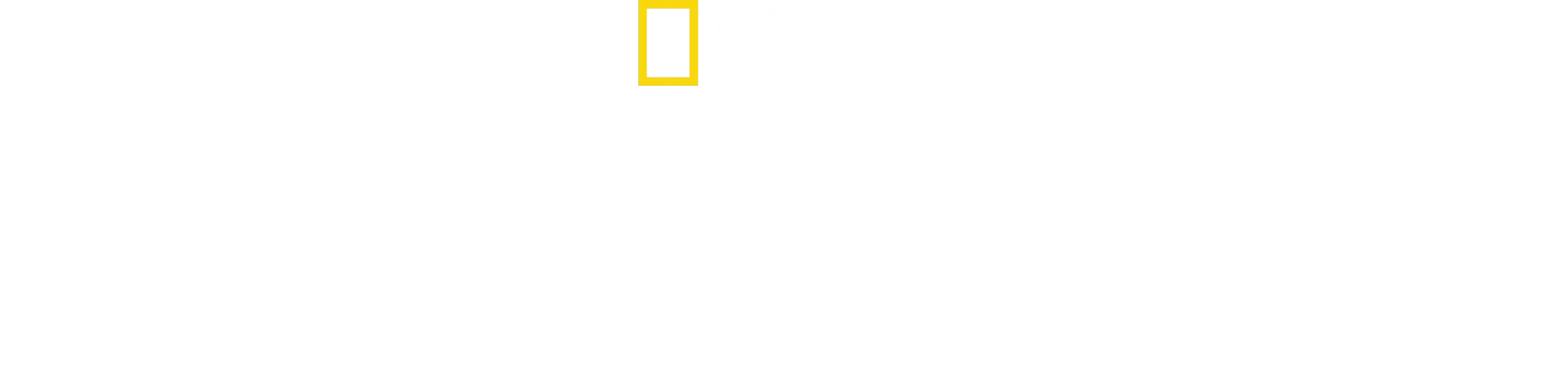 The Long Road Home