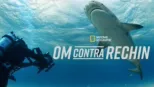 thumbnail - Om contra rechin