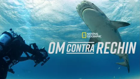 thumbnail - Om contra rechin