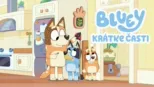 thumbnail - Blue krátke časti
