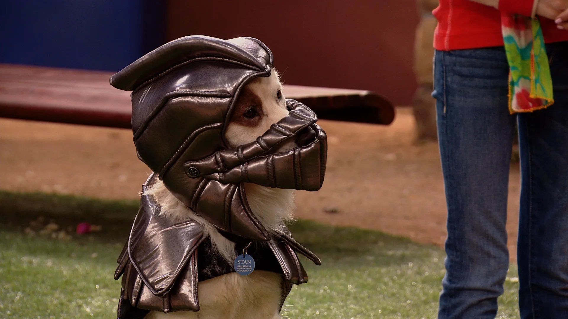 thumbnail - S1:E5 World of Woofcraft