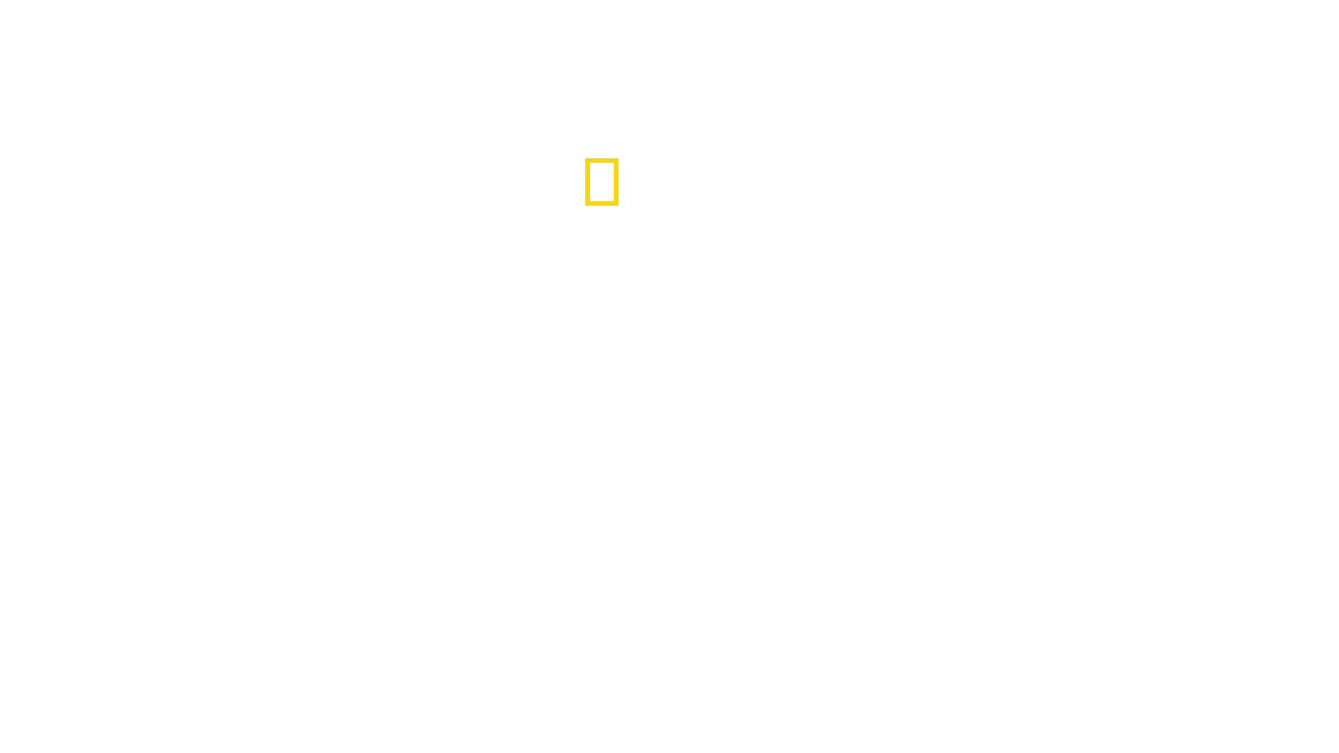 Gökyüzünden Köpekbalıkları