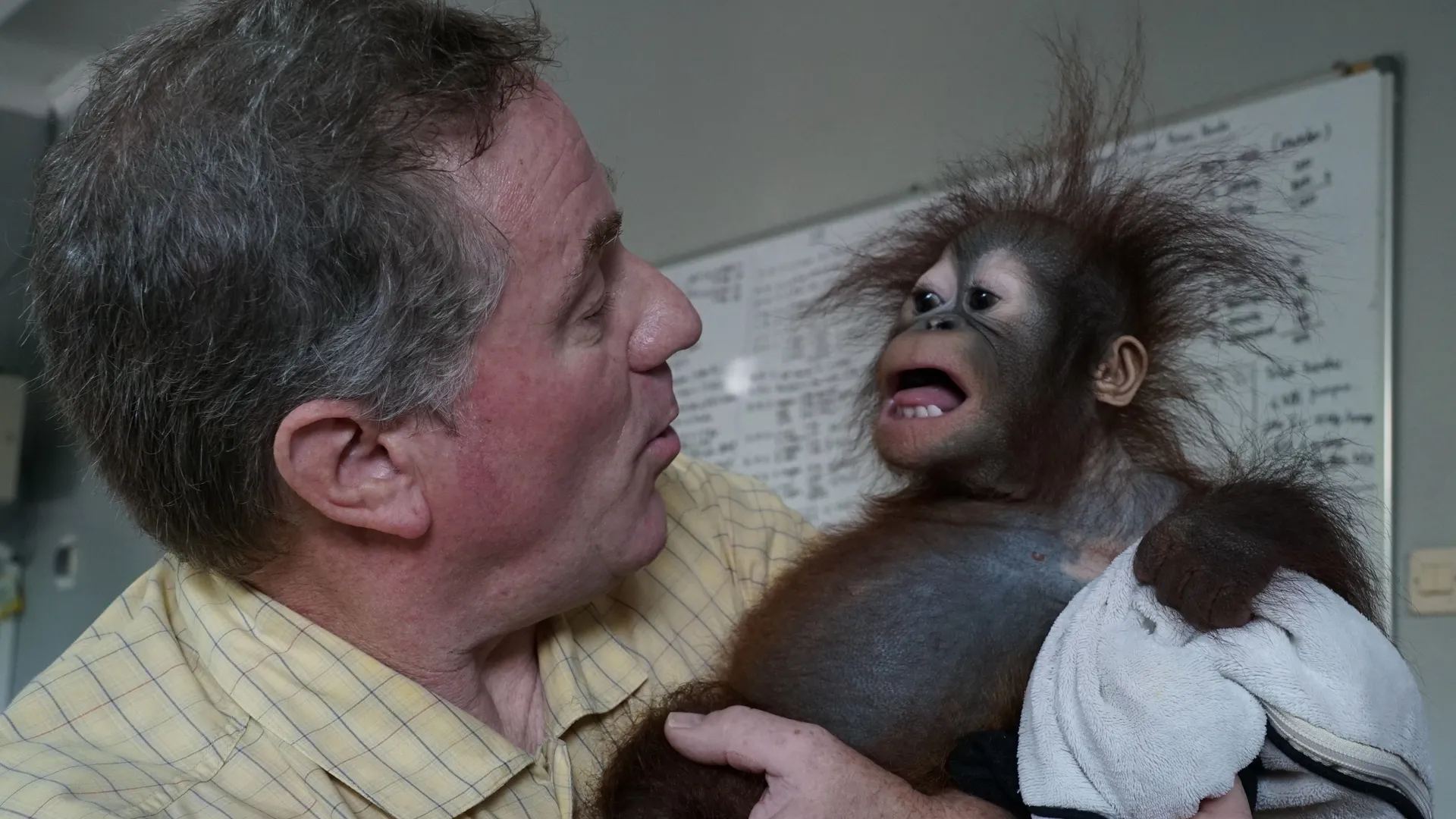 thumbnail - S2:E2 Monkey Business