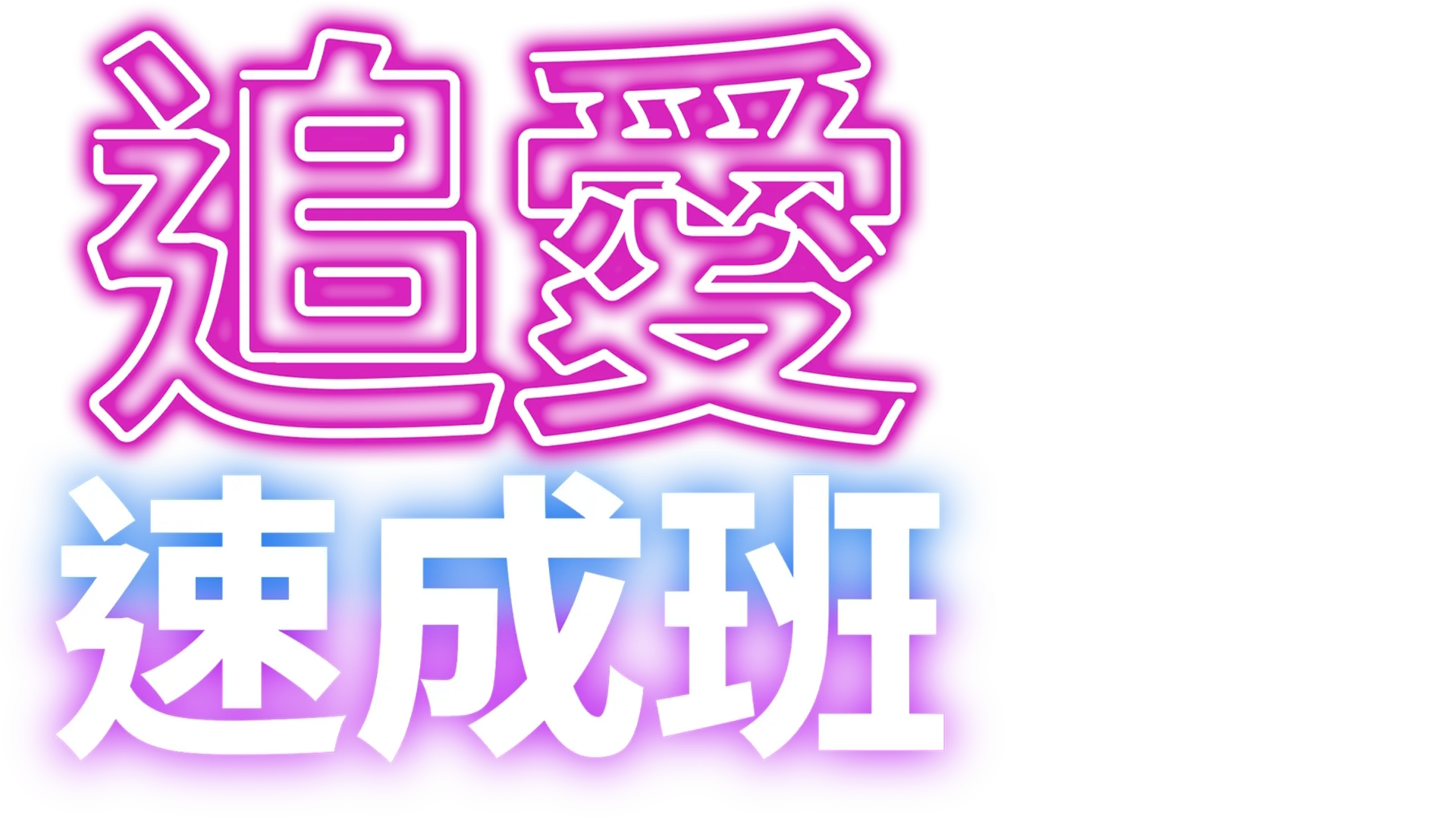 追愛速成班
