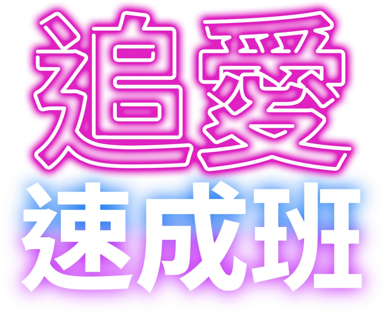 追愛速成班