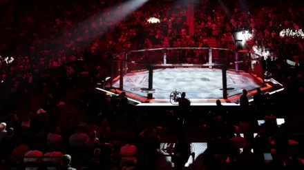 UFC Pre/Post Fight Show