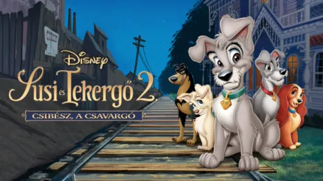 thumbnail - Susi és Tekergő 2. - Csibész, a csavargó