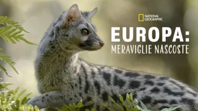 Europa: Meraviglie nascoste