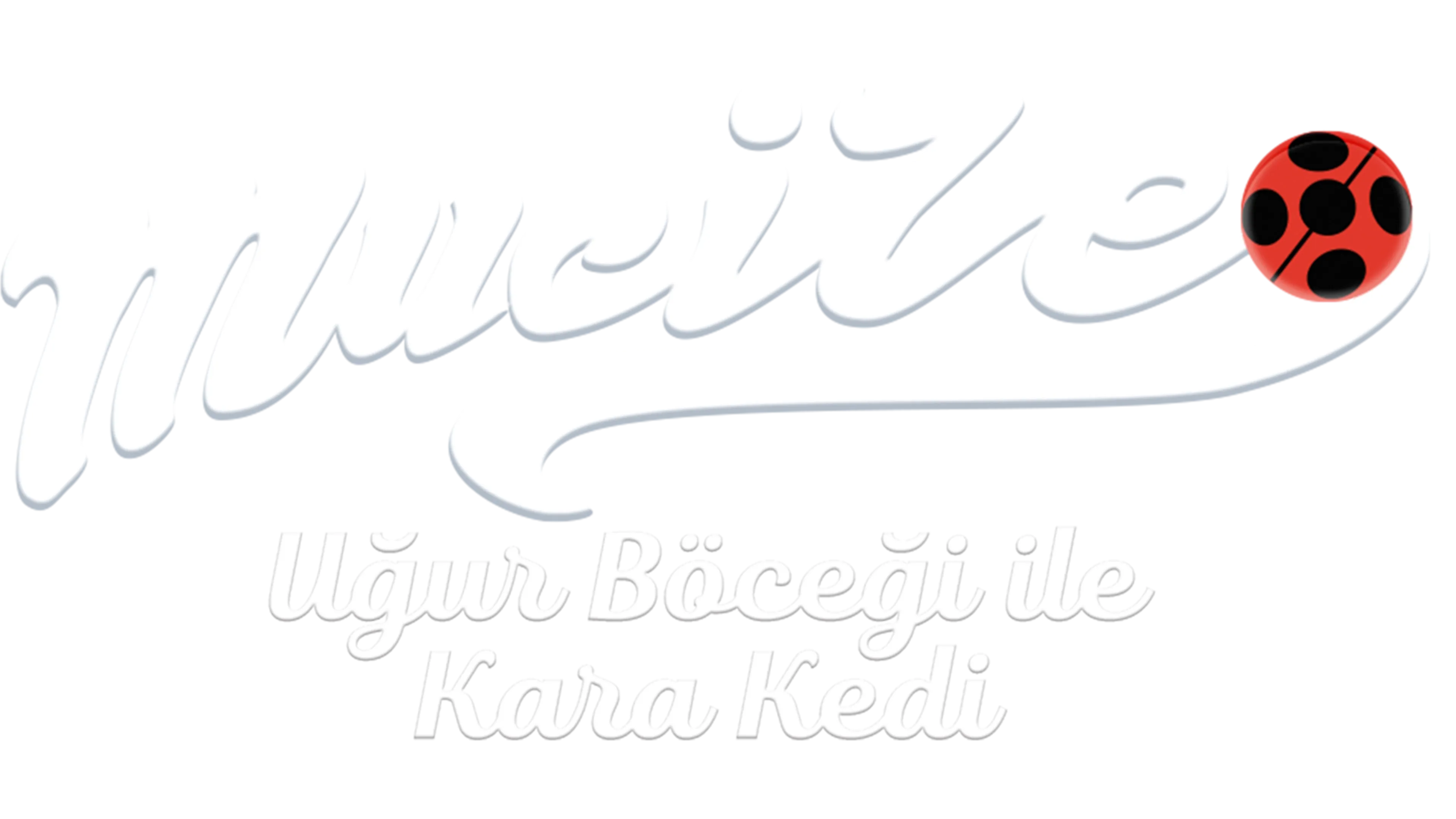 Mucize: Uğur Böceği ile Kara Kedi