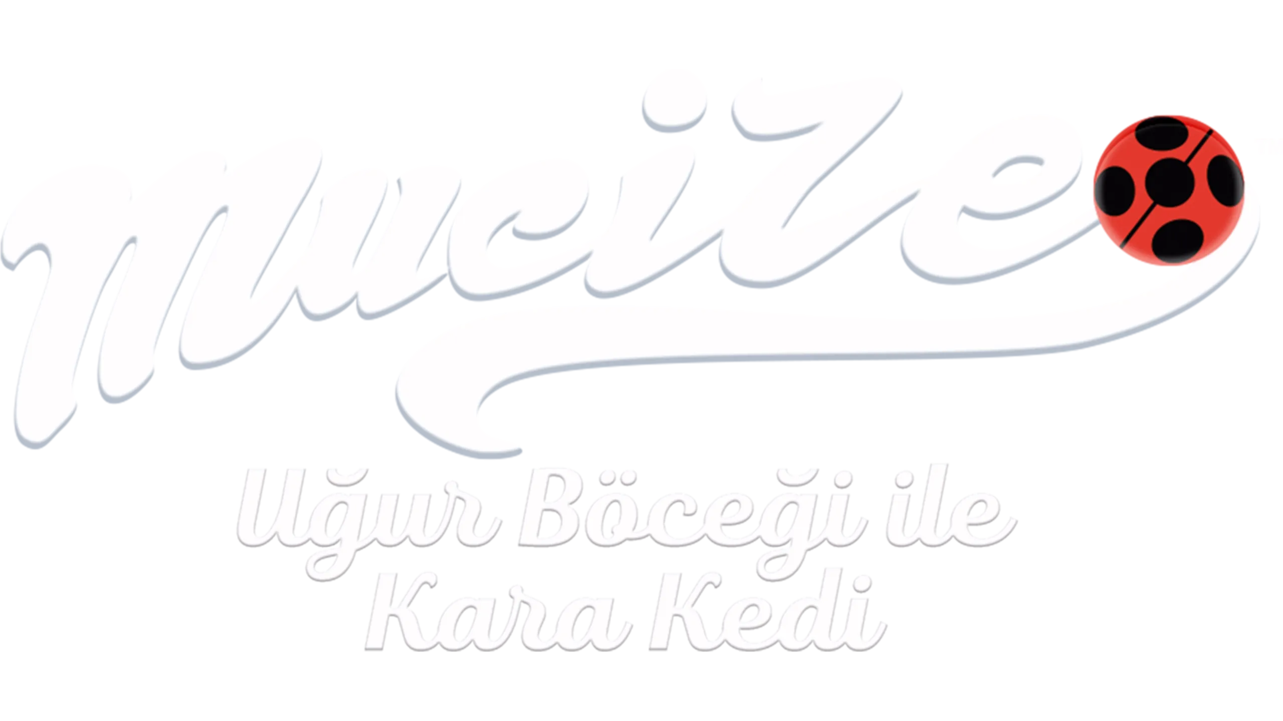 Mucize: Uğur Böceği ile Kara Kedi
