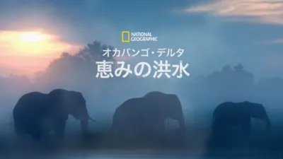 オカバンゴ・デルタ 恵みの洪水