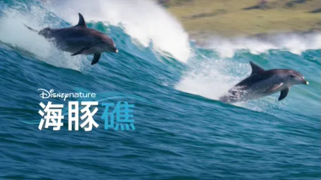 thumbnail - 海豚礁