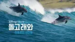 thumbnail - 돌고래와 산호초의 시민들