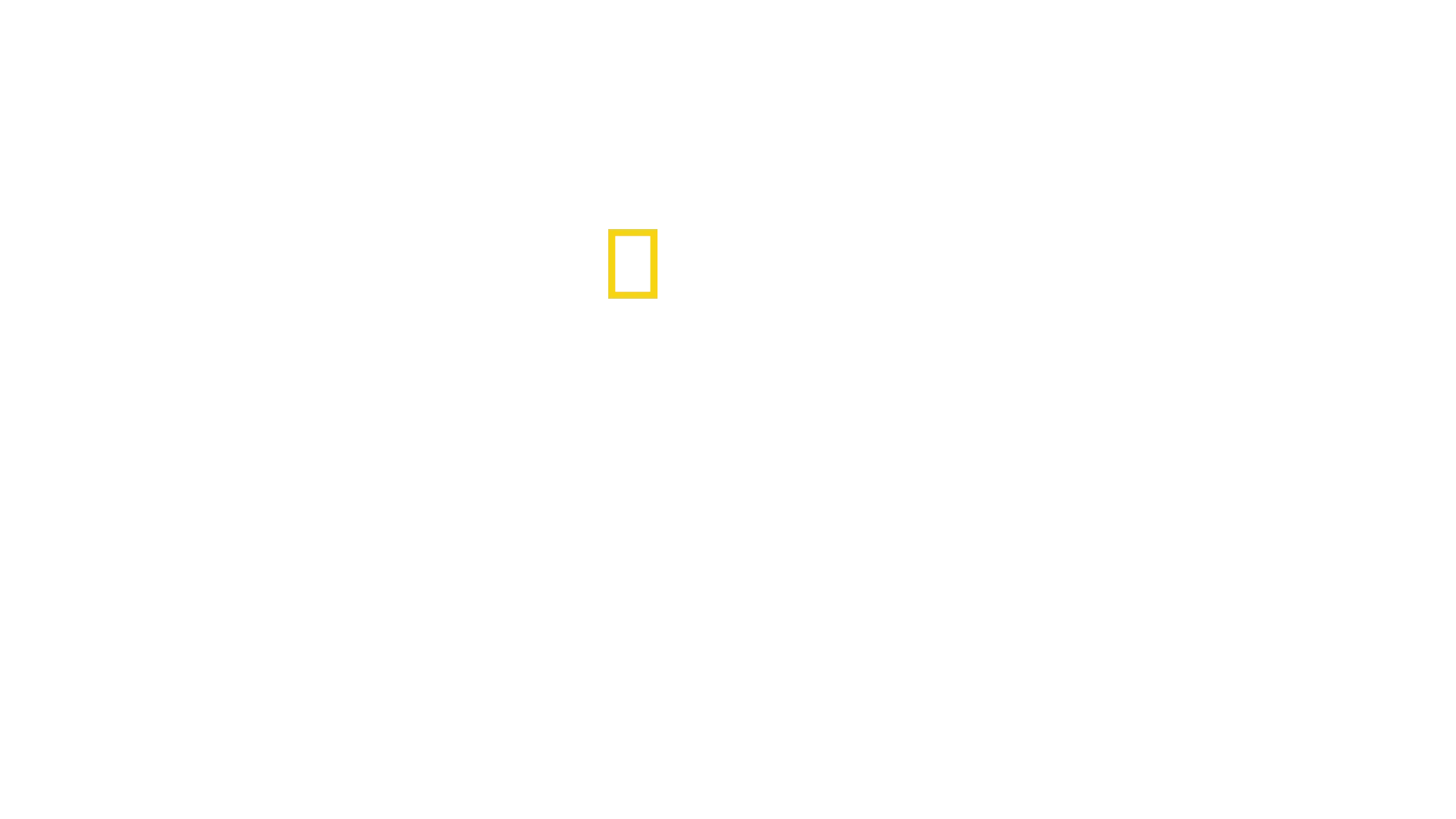 Chris Hemsworth: Investigando Tubarões