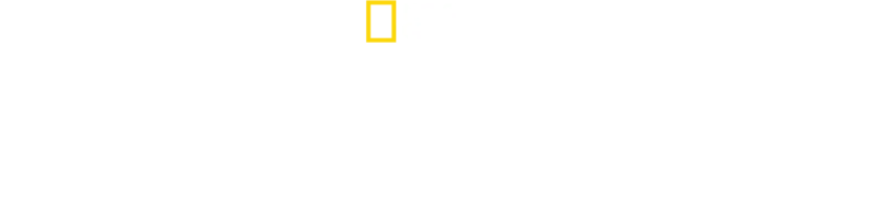 Chris Hemsworth: Investigando Tubarões