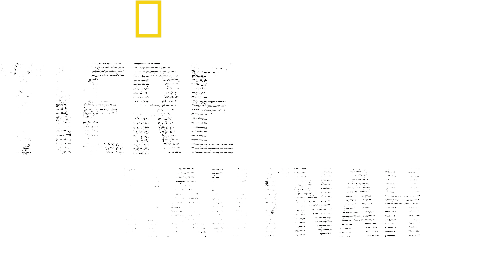 Tiere hautnah mit Bertie Gregory