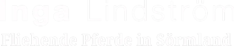 Inga Lindström - Fliehende Pferde in Sörmland