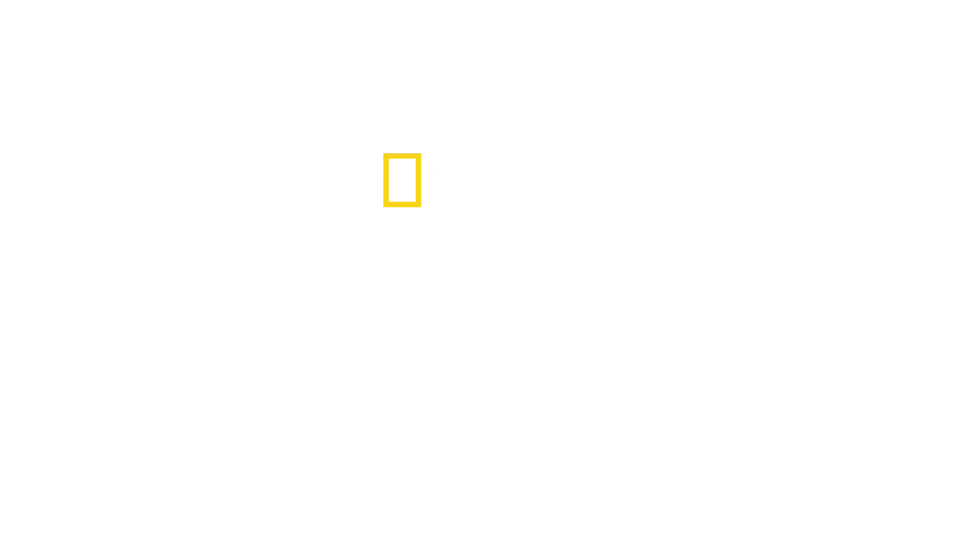 Die Geburt Europas