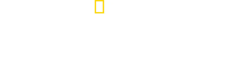 Die Geburt Europas