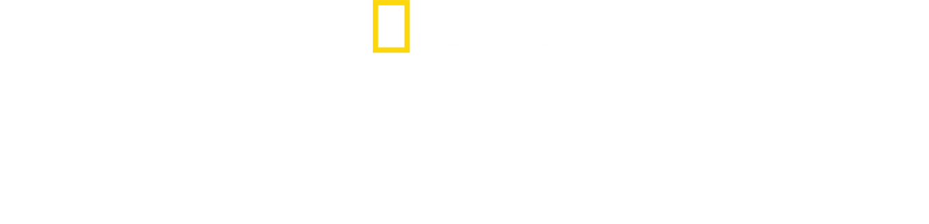 Die Geburt Europas