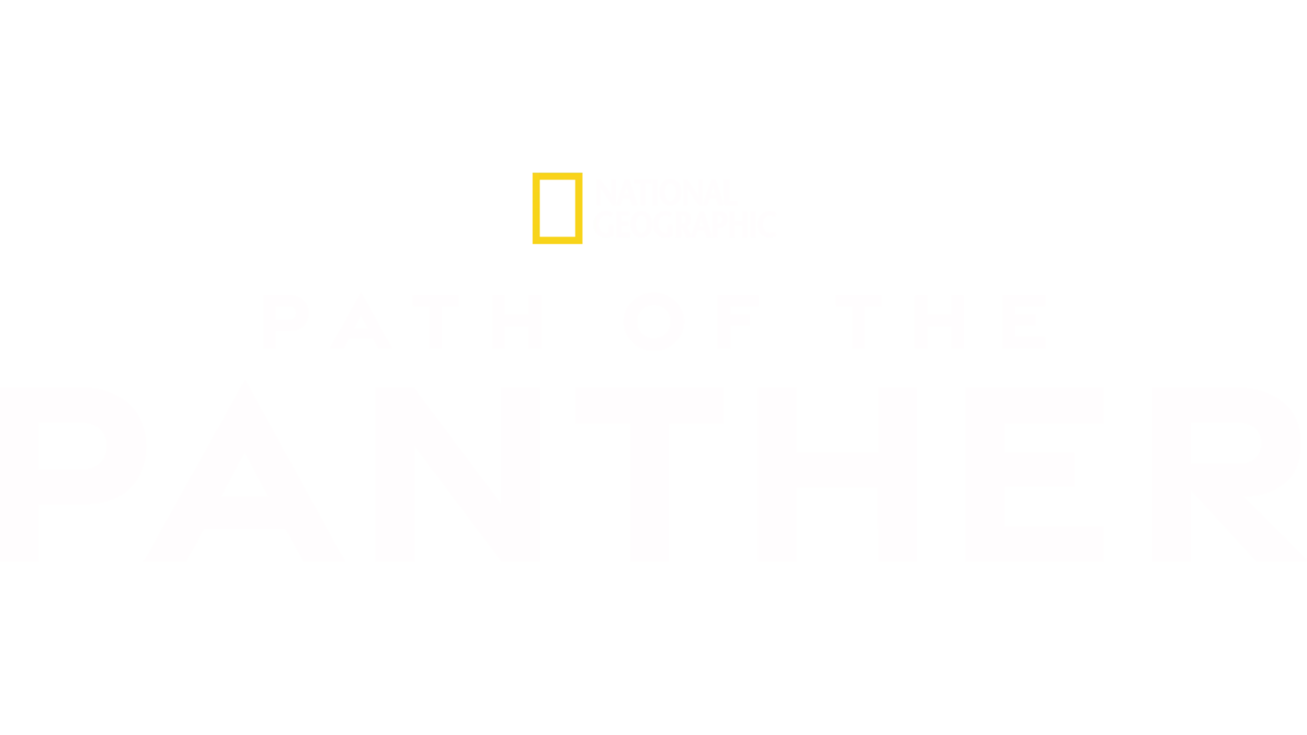 Path of the Panther