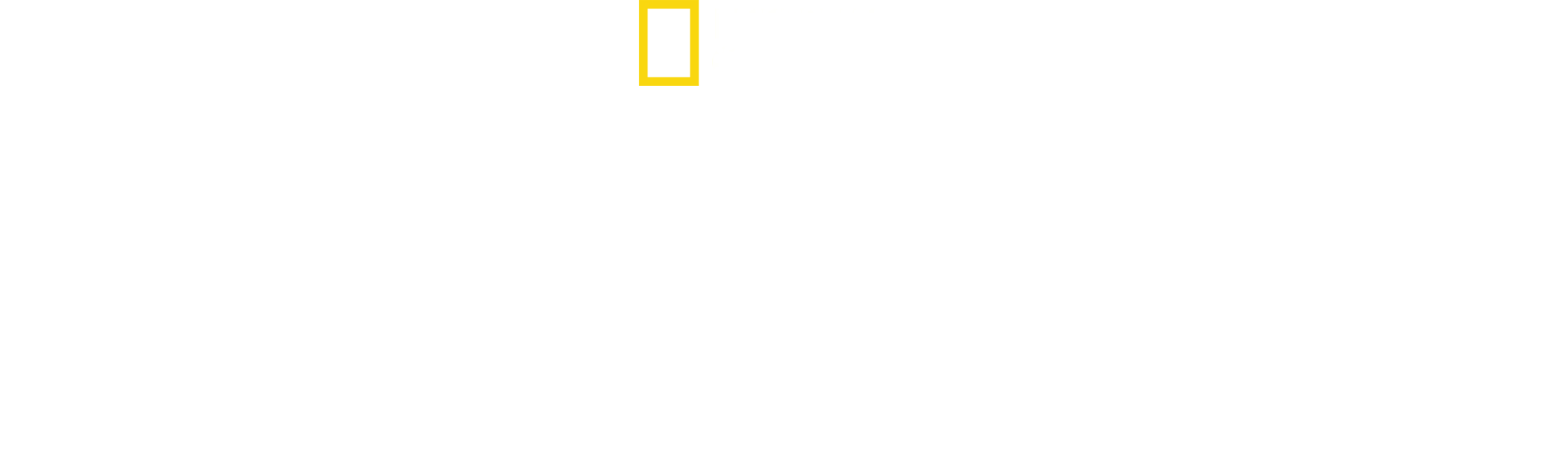 Path of the Panther