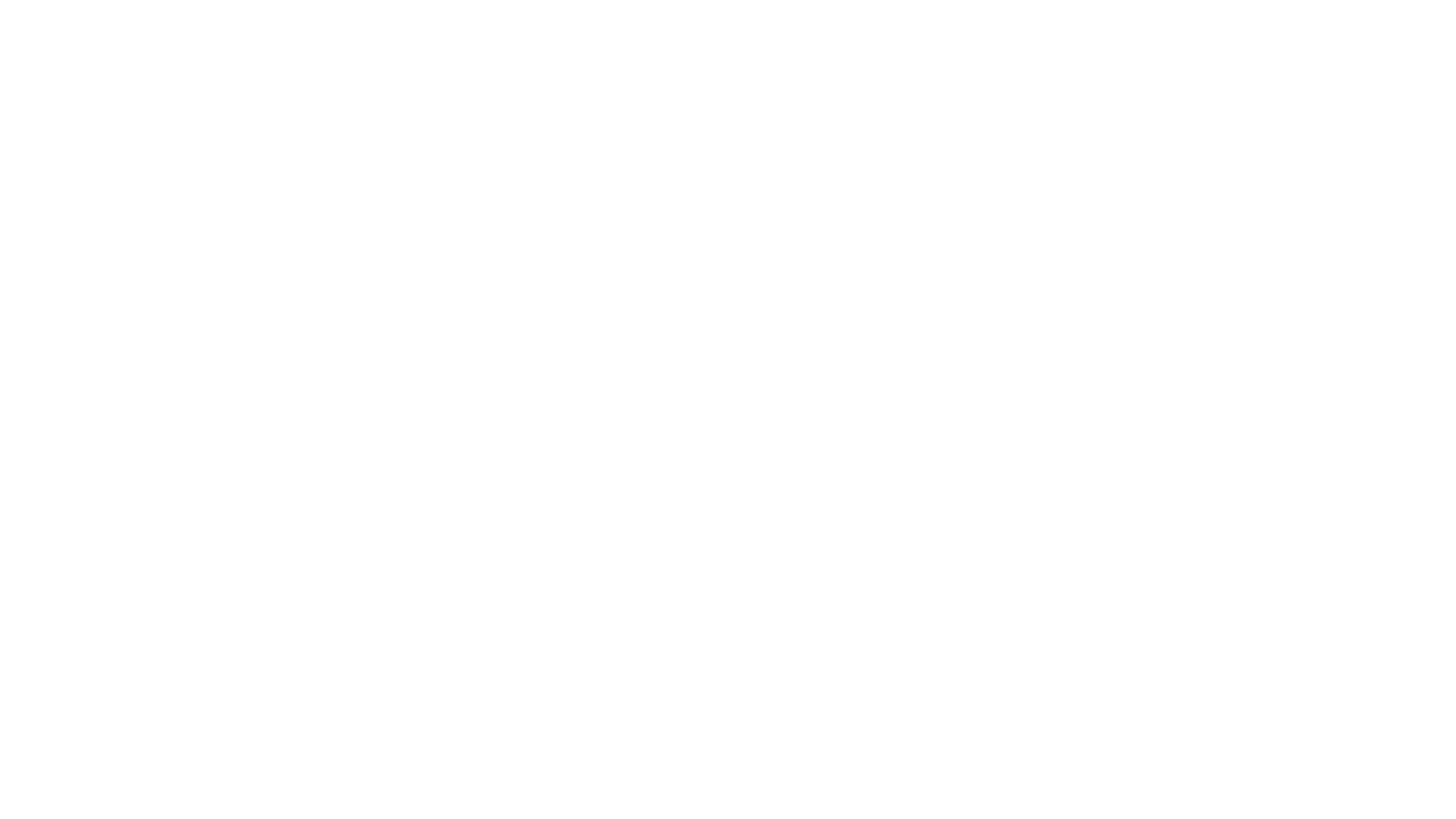 Het Wilde Avontuur
