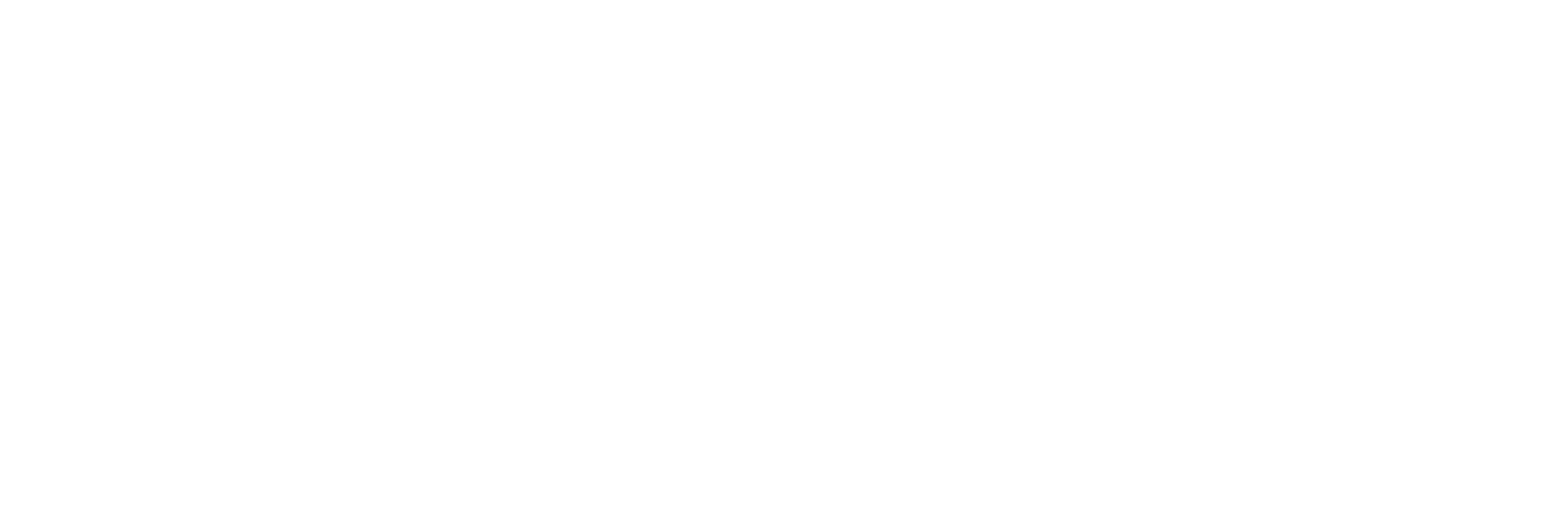 Het Wilde Avontuur