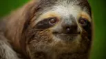 thumbnail - Total Grossout S1:E5 Total Grossout